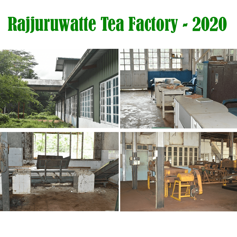 Rajjuruwatte Tea Factory